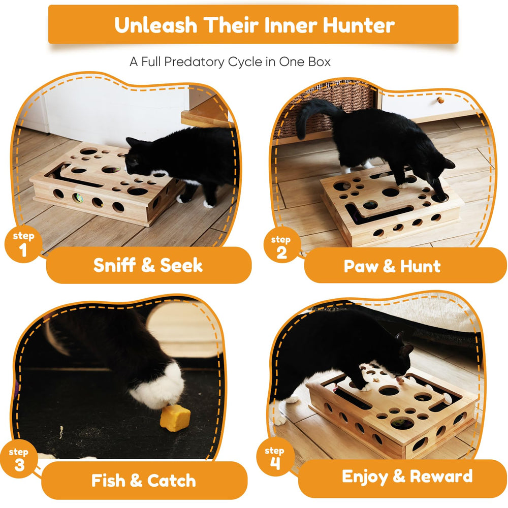 HOMEPEDIA hunting-instinct stimulation encourages sniffing and pouncing at home.