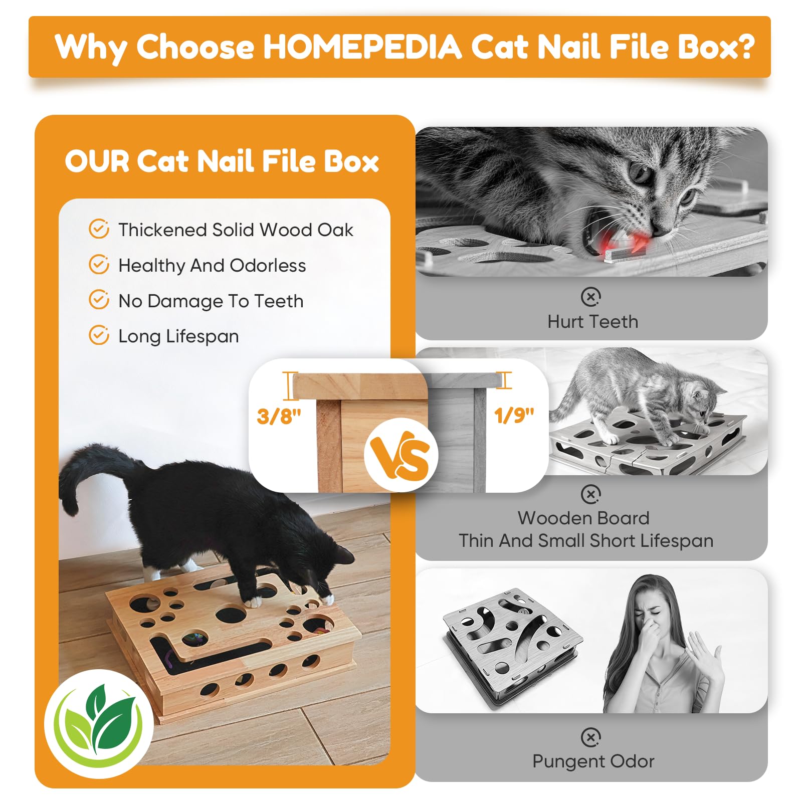 HOMEPEDIA two-ball interactive play boosts activity and engagement.