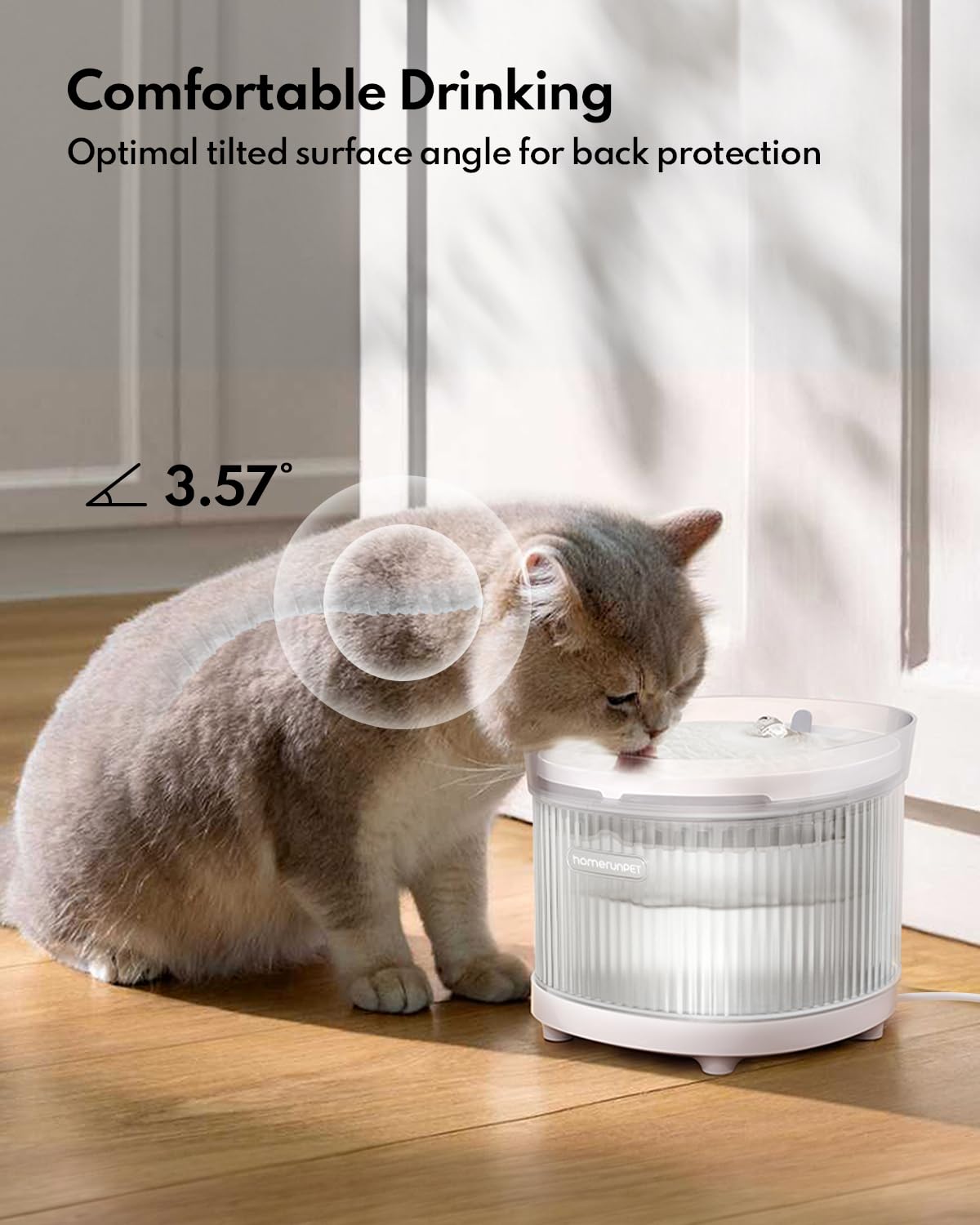 HomeRunPet 2L capacity displayed, reduces refilling for busy households.