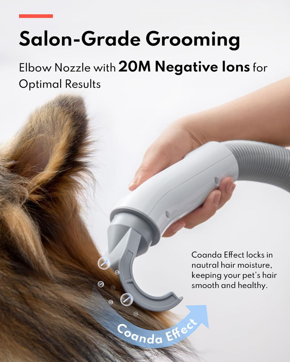 HomeRunPet elbow nozzle close-up highlighting smoothing ion technology