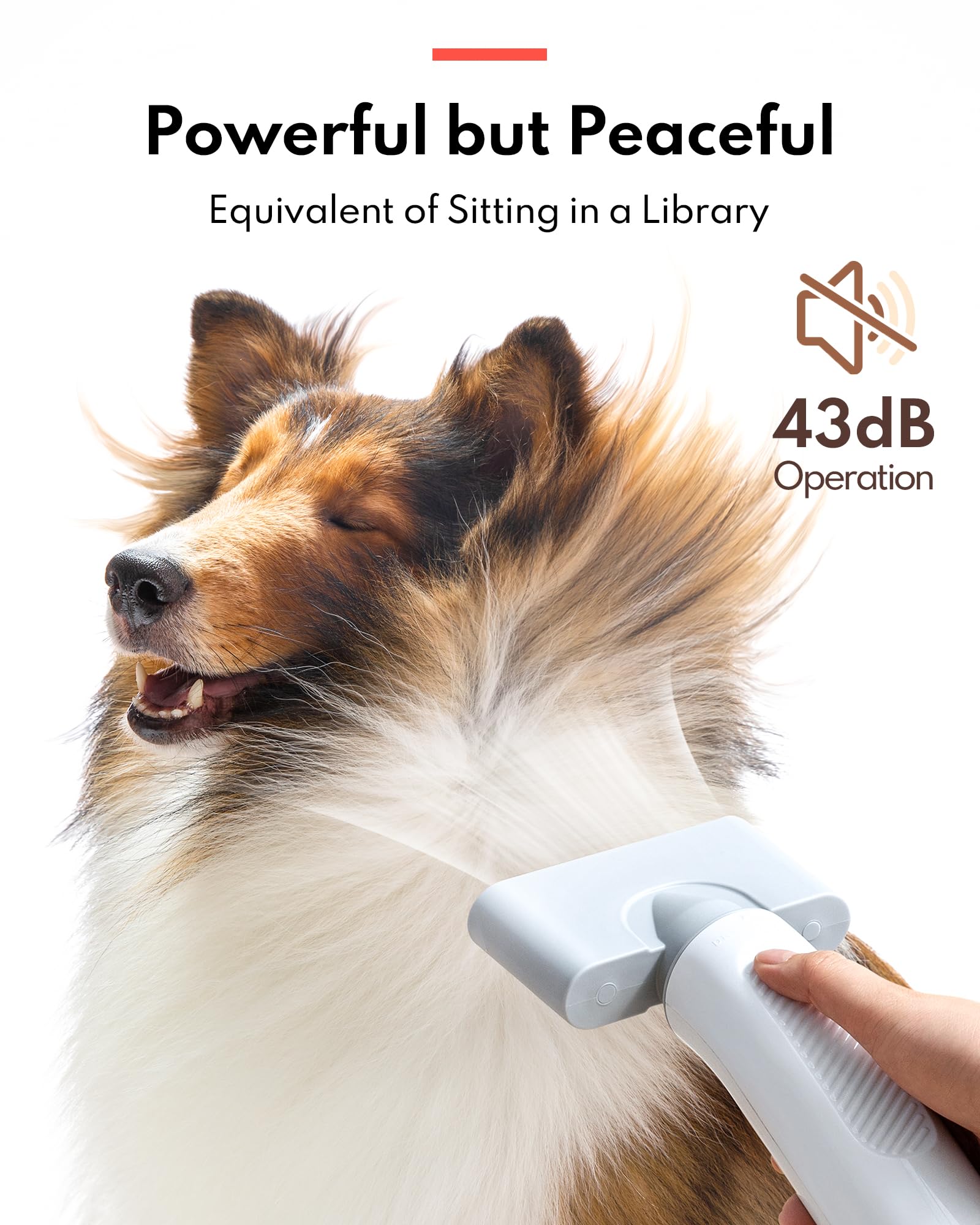 HomeRunPet Ultra Quiet 43dB operation demonstrates gentle sound for calming pets