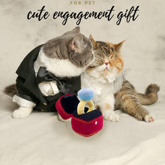 HomeSoGood interested diamond ring case plush, great for interactive games and cuddling