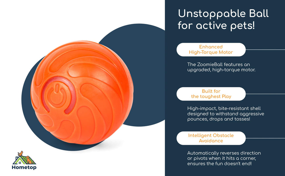 Hometop ZoomieBall box includes USB-C cable and user manual.