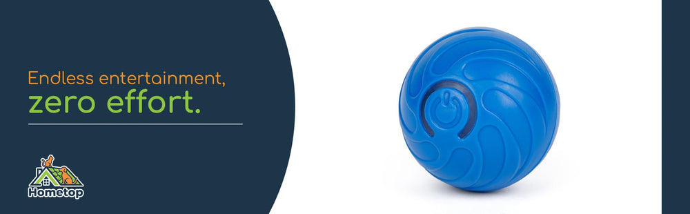 Hometop ZoomieBall works on tile, wood, and carpet surfaces.