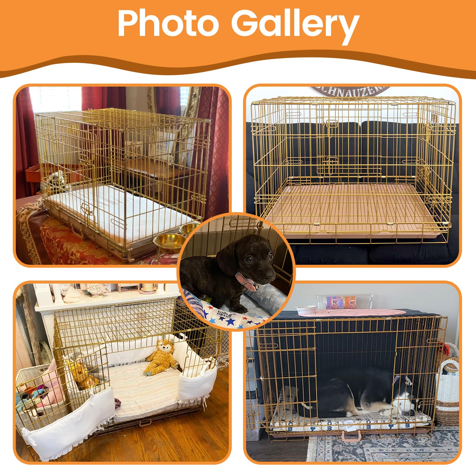 Homey Pet elegant gold crate with durable finish complements modern home decor