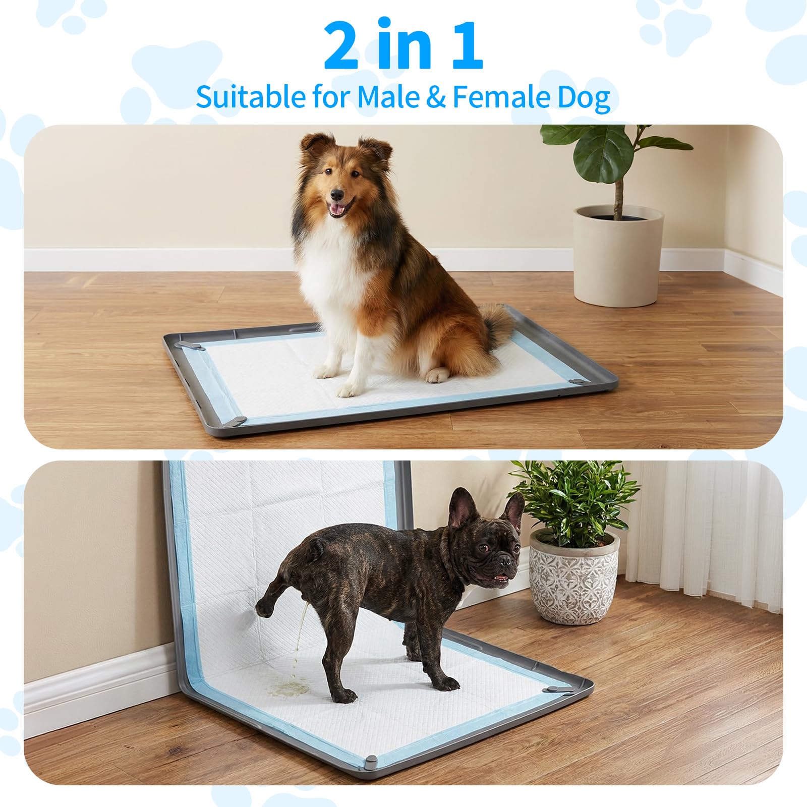 Homgaty pee pad holder raised edge protects floors from leaks in busy homes.