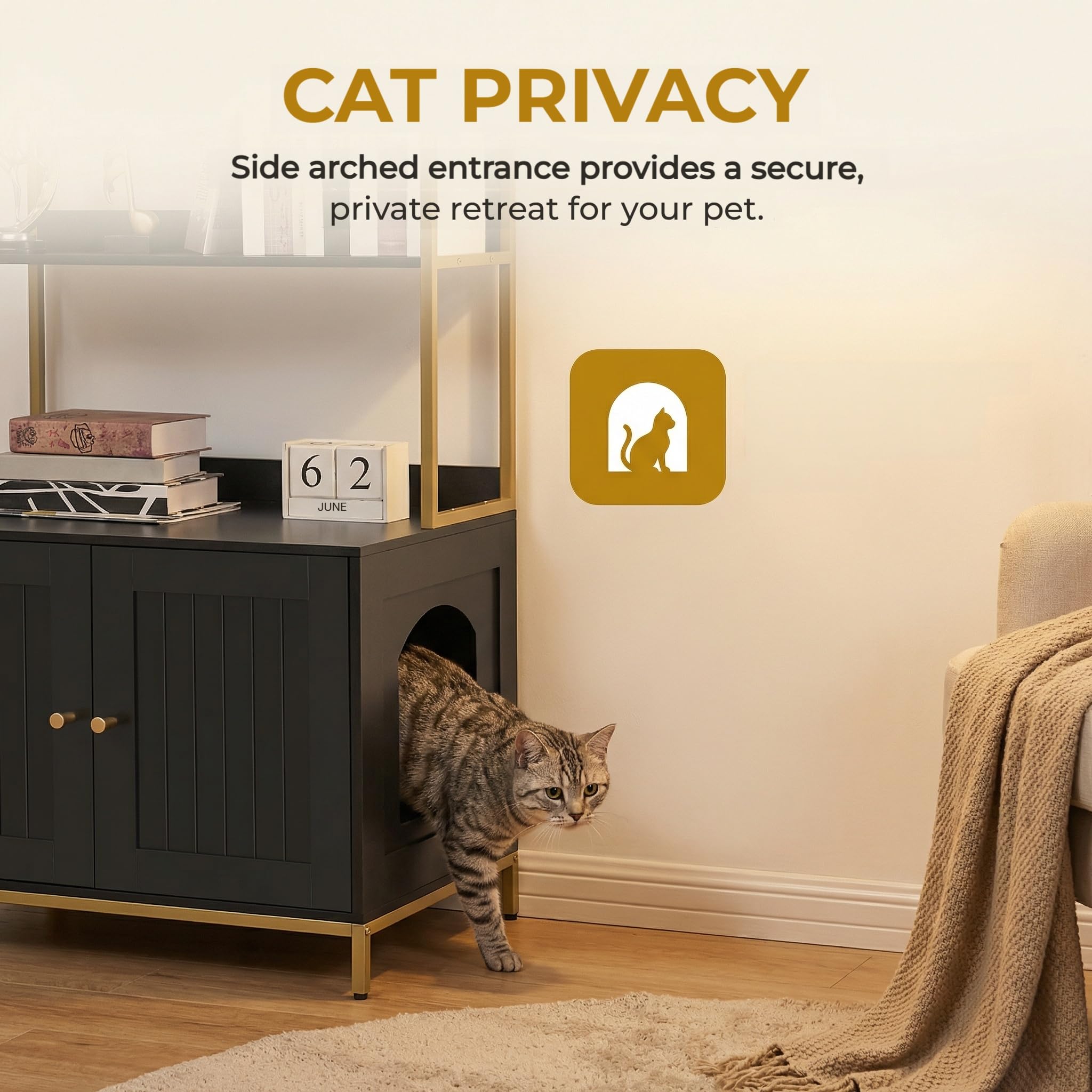 Homhedy metal-framed enclosure highlights modern black and gold details.