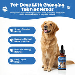 Homibabis Taurine drops shown with a dog ready to eat for routine supplementation.