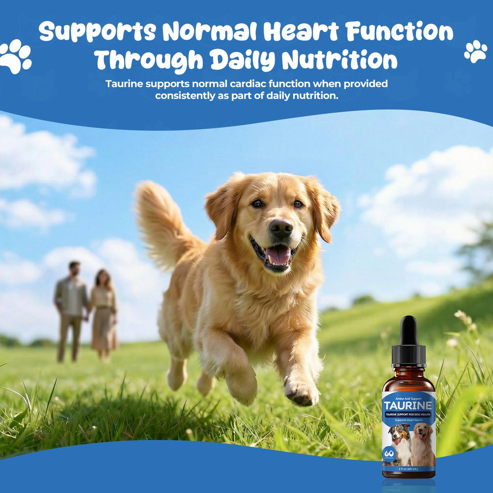 Homibabis Taurine liquid drops with a precise dropper for accurate daily dosing.