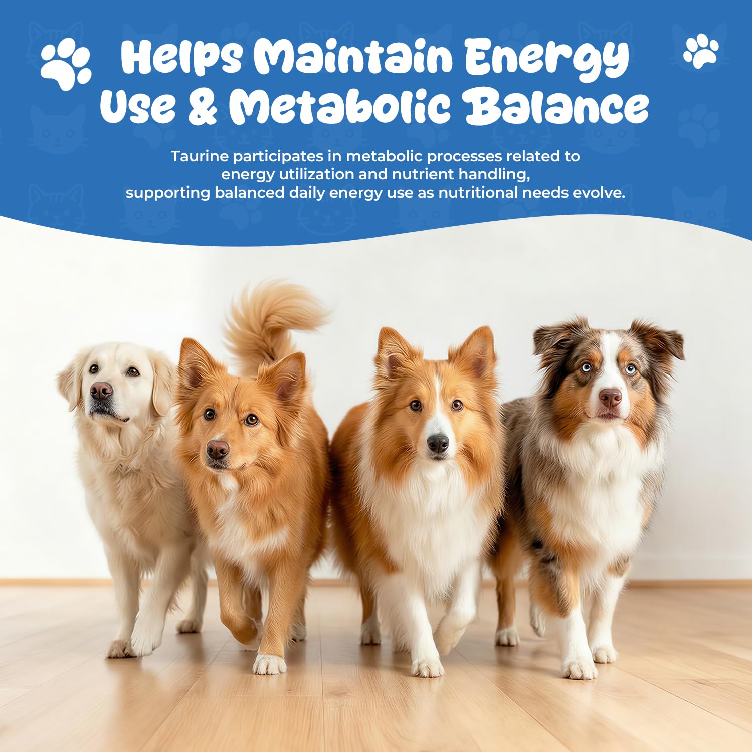 Homibabis Taurine drops label aimed at aging or large breeds.