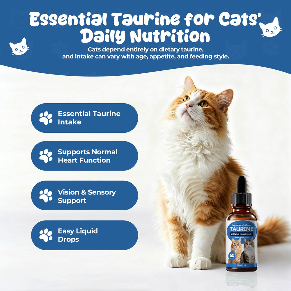 Homibabis taurine liquid supplement bottle drops support steady daily feeding routine.