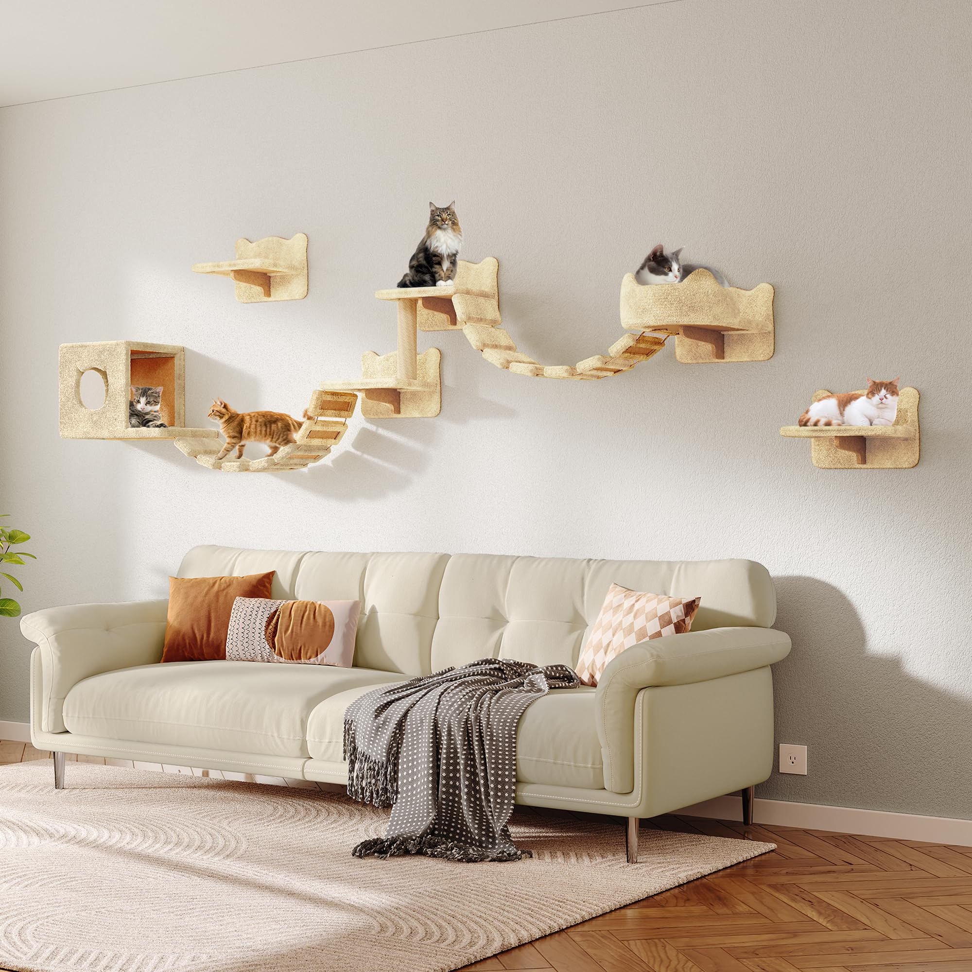 Homiflex sturdy wall brackets secure the climbing wall with stability.