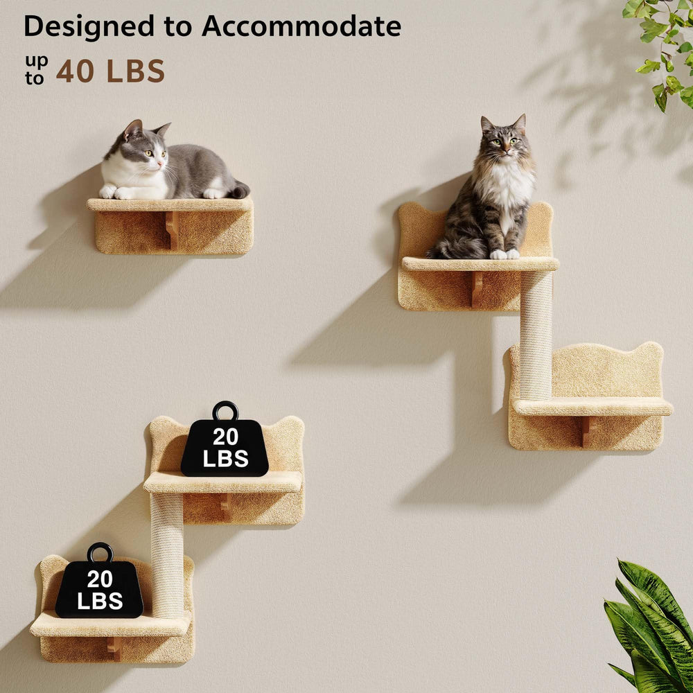 Homiflex shelves and bridges create a multi-level play area for cats.