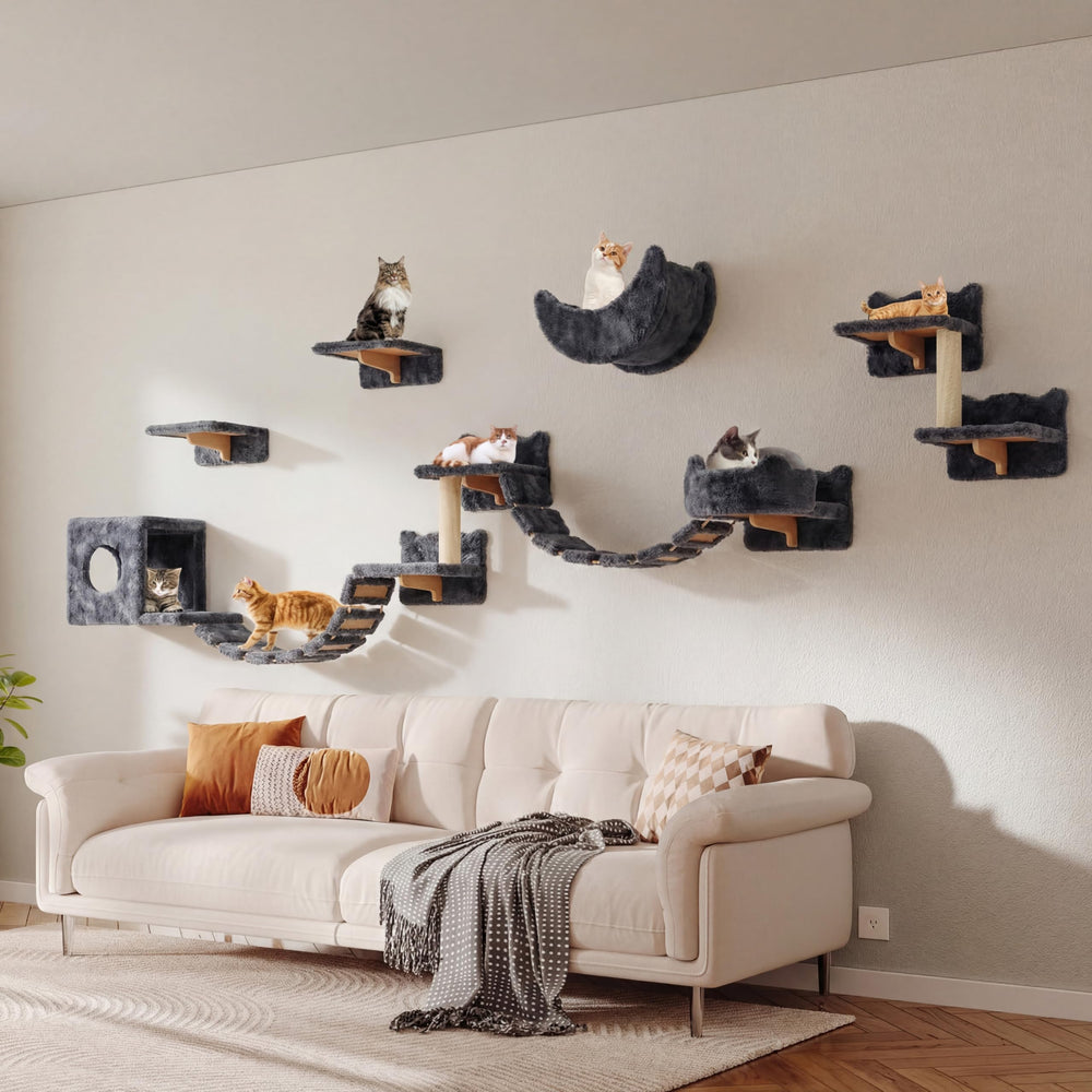 Homiflex compact cat furniture in apartment fits small spaces neatly.