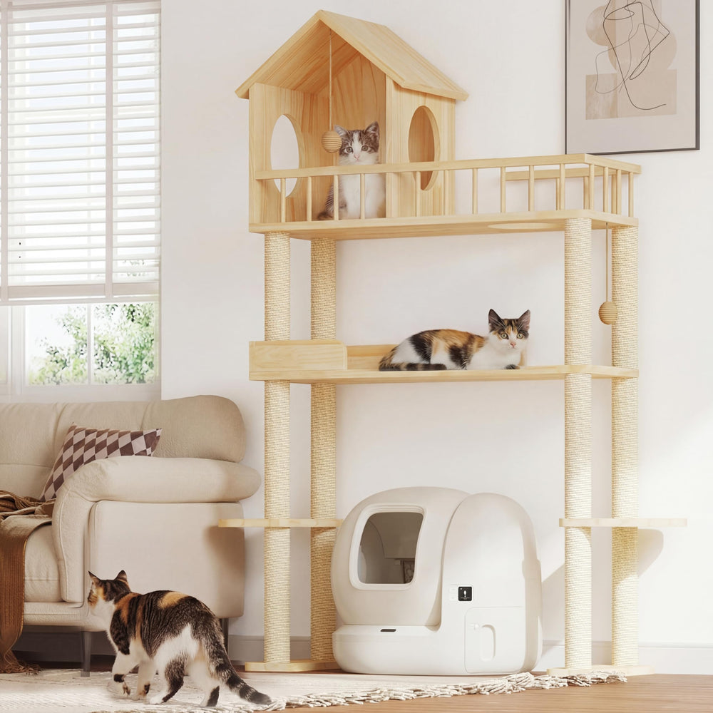 Homiflex elevated platforms give cats a safe climbing experience.