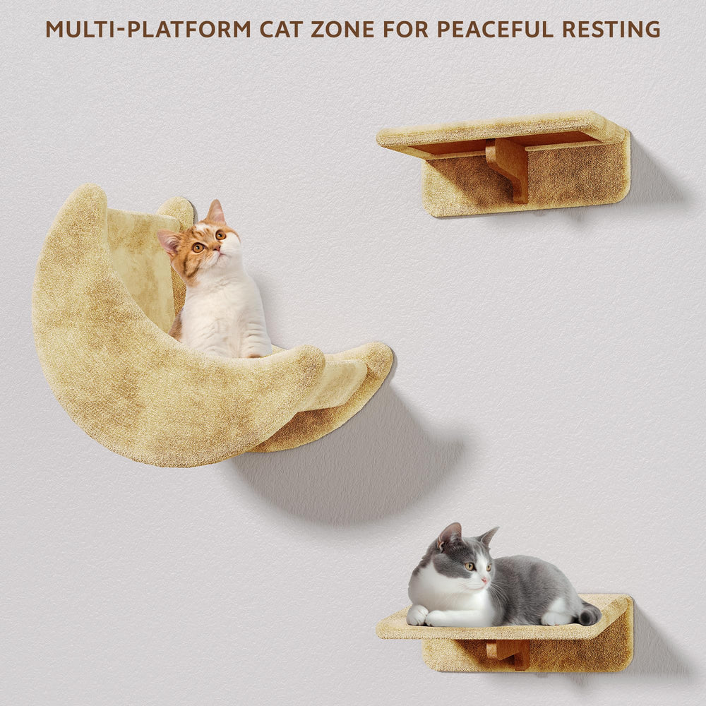 Homiflex moon hammock and cat condo elevated above the floor