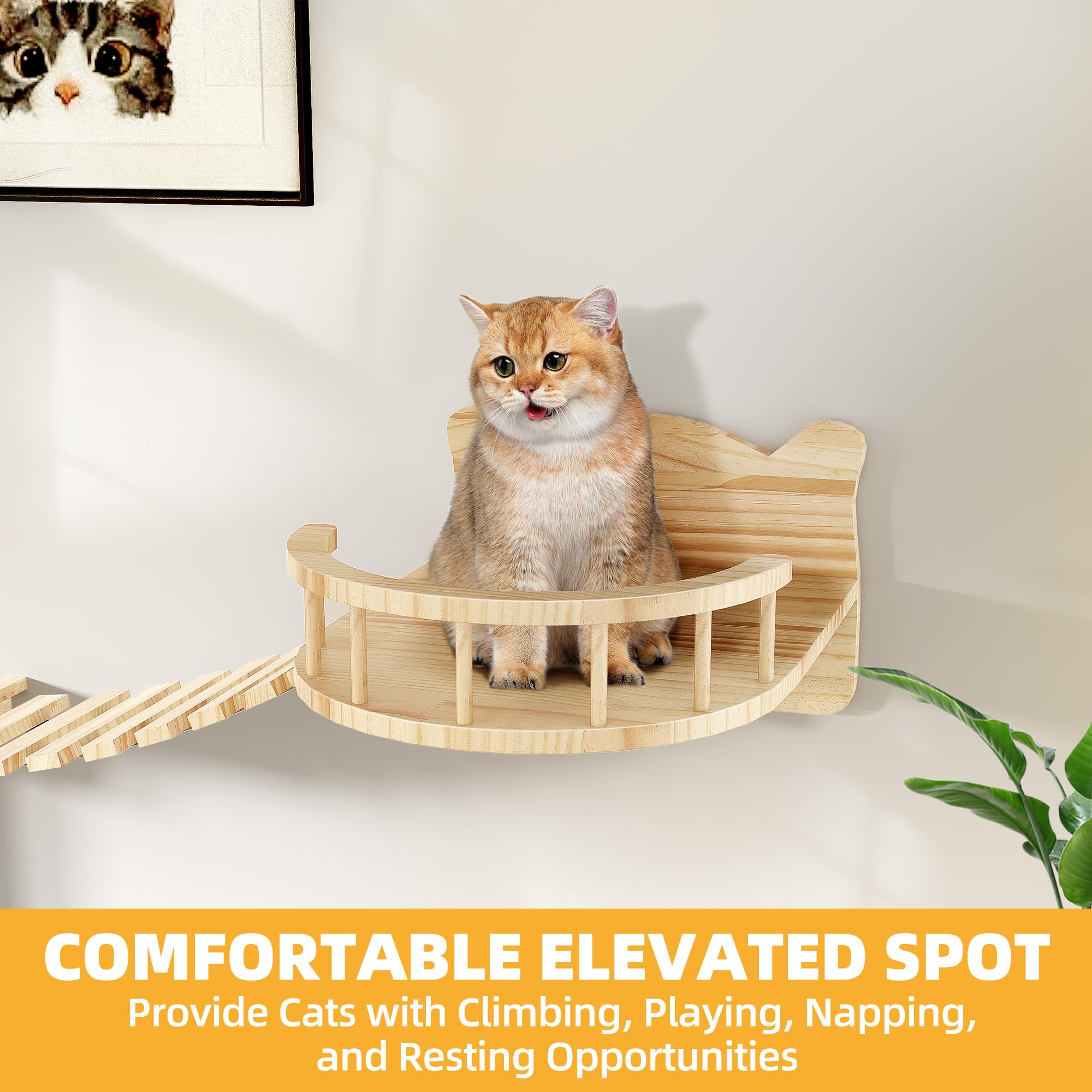 Homiflex sisal scratching board provides a natural outlet and keeps furniture protected