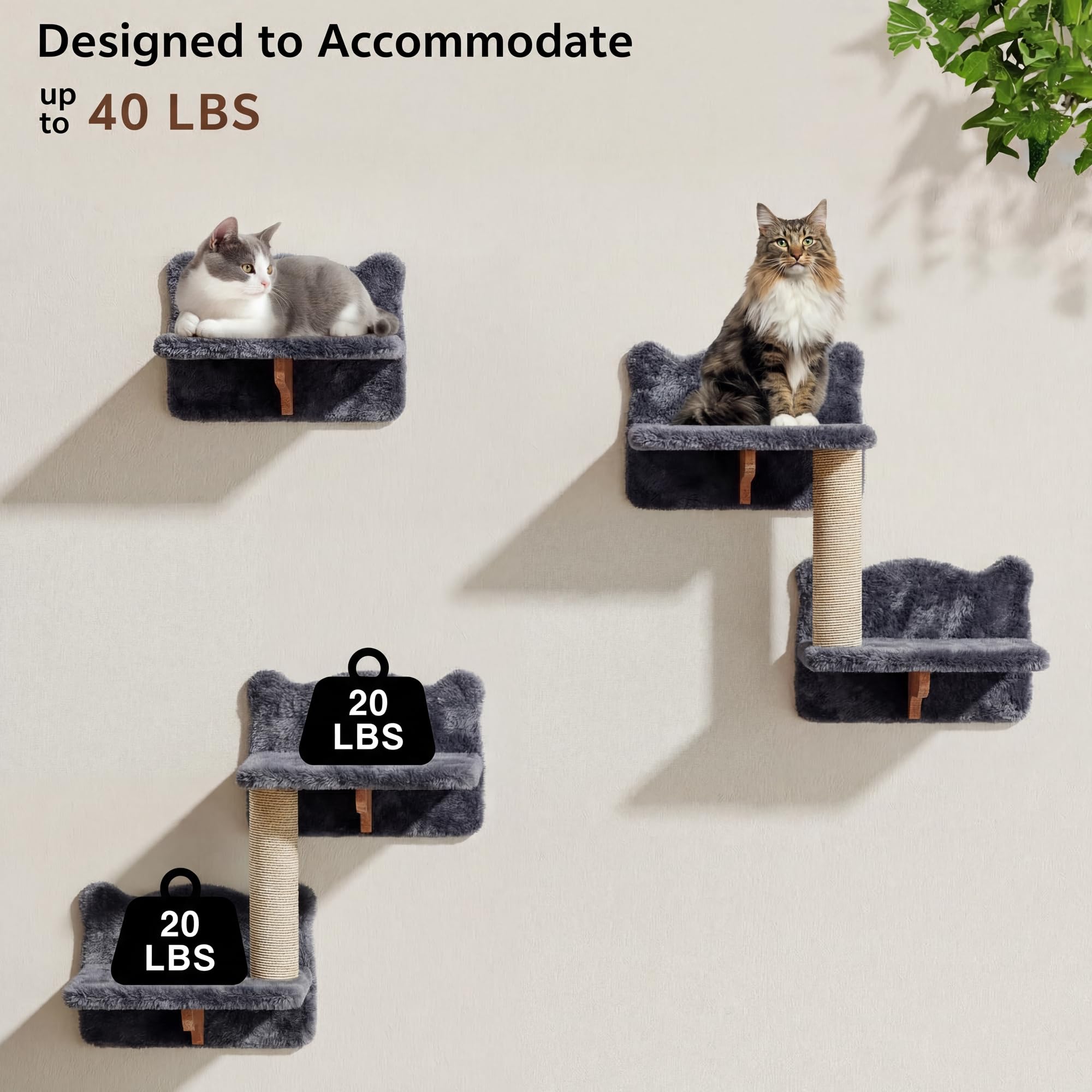 Homiflex vertical bridge ladder demonstrates multi-level climbing for curious cats.