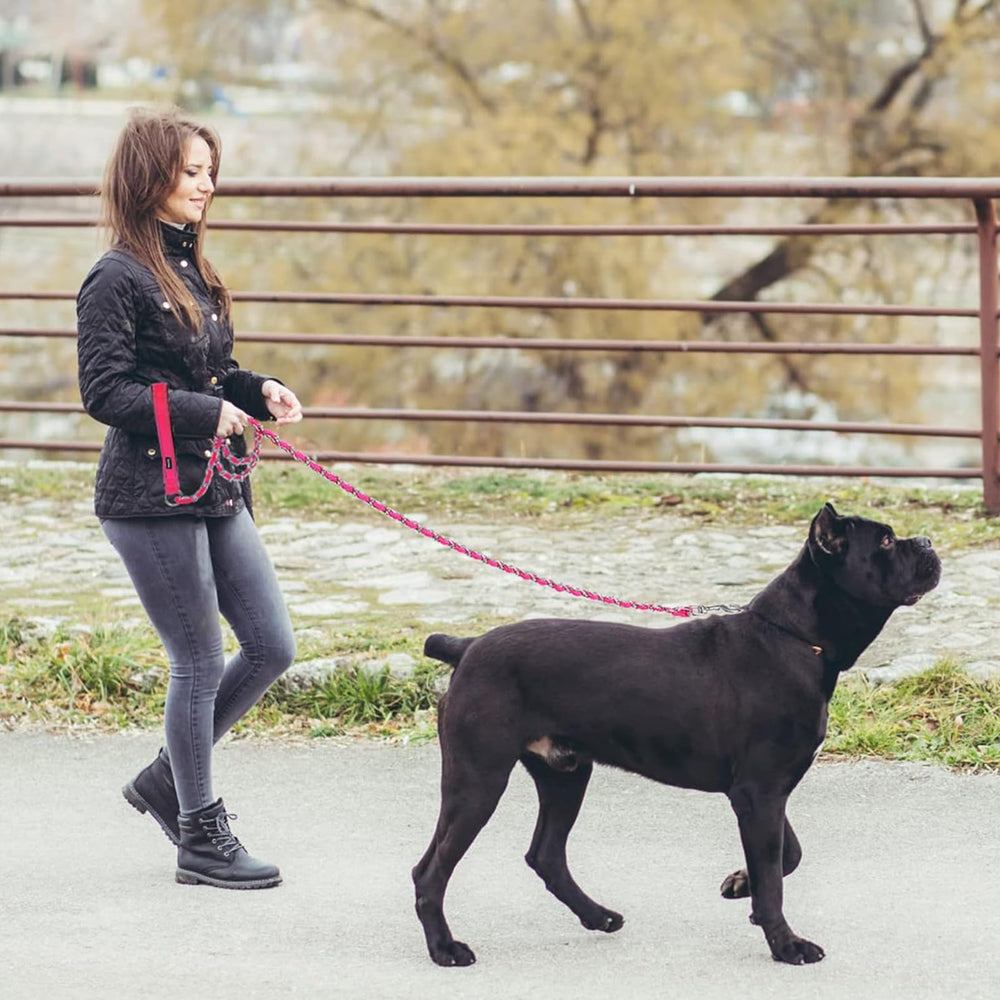 Homimp Chew Proof Dog Leash reduces metal noise for calmer walks.