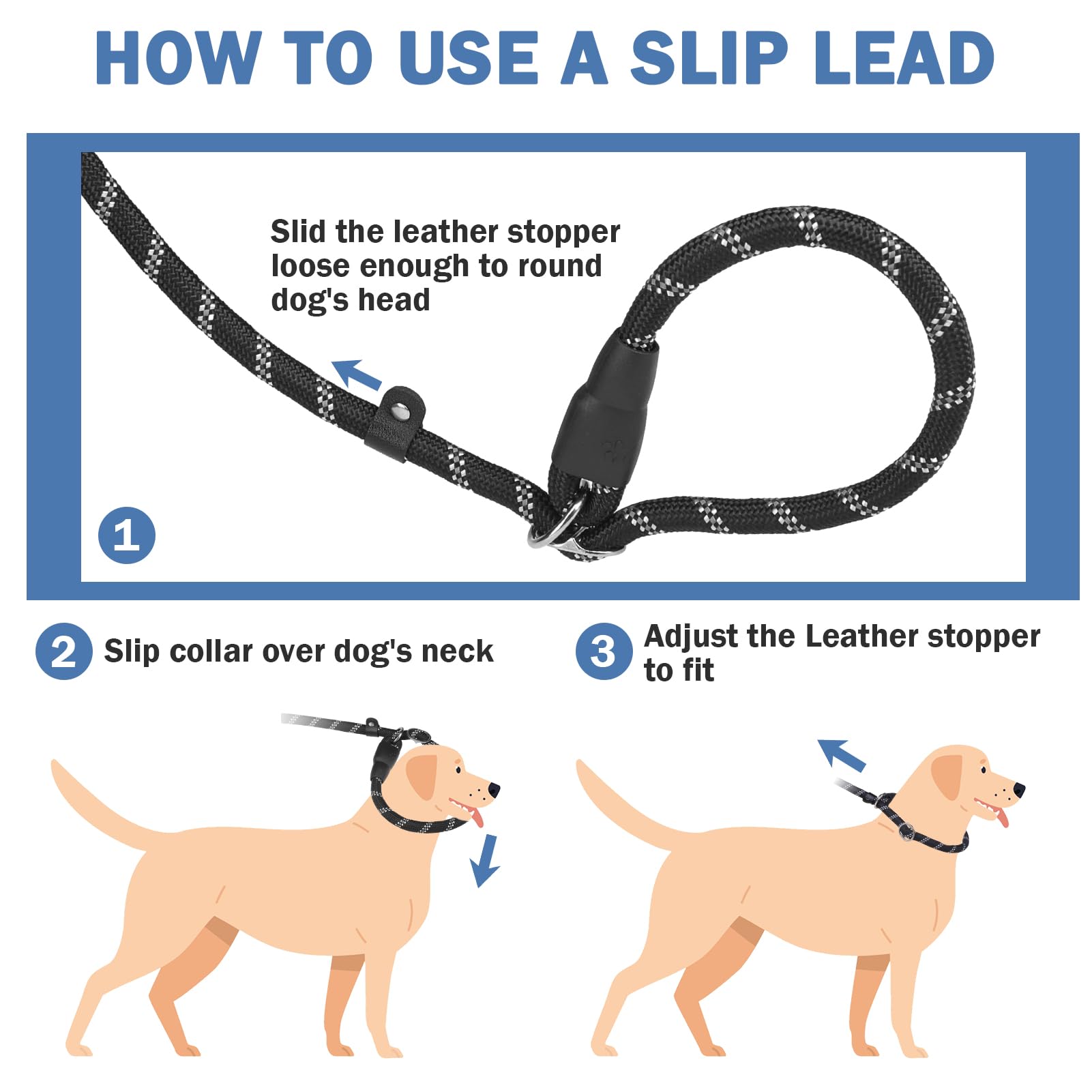 Homimp 6-foot leash in use showing balance of control and freedom.
