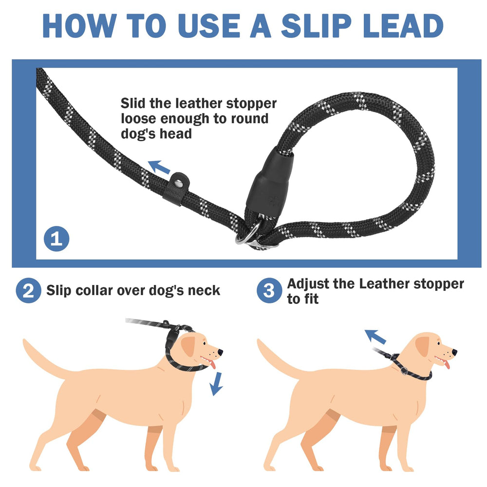 Homimp 6-foot leash in use showing balance of control and freedom.