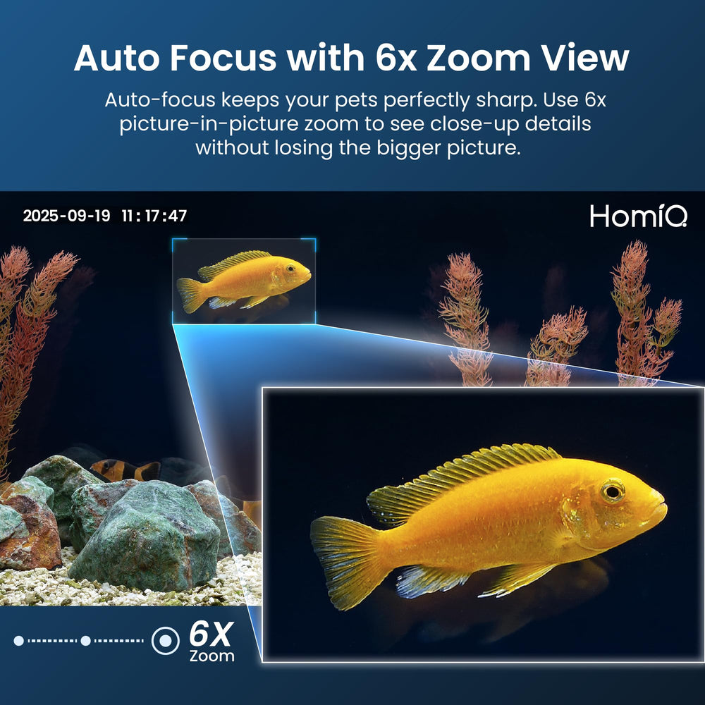 HOMIQ LIFE smart detection with auto-focus sends instant alerts to your phone.
