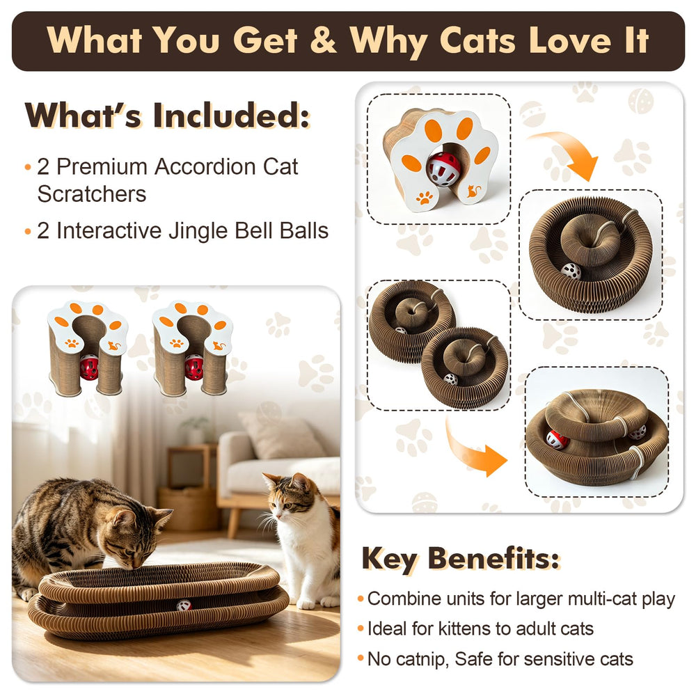 Homlume four-shape setup keeps cats curious with changing layouts