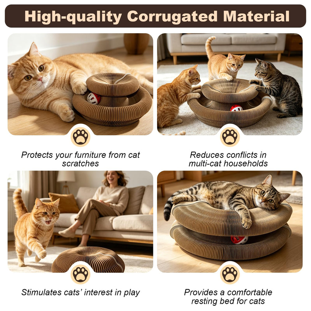 Homlume indoor cat play setup for entertaining companions