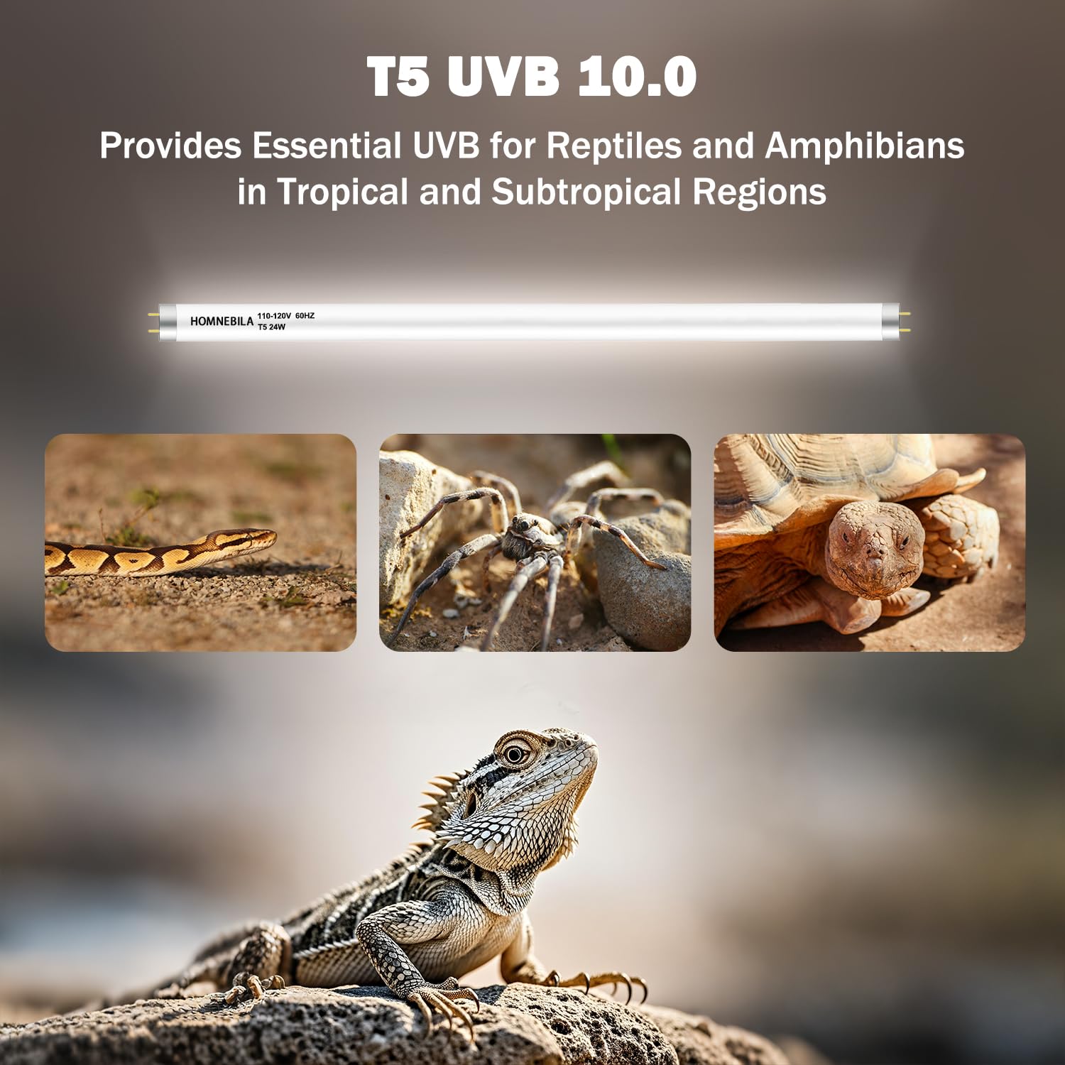 Homnebila T5 UVB 10.0 bulb 2-pack ready for installation.