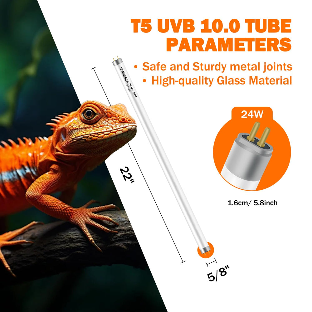 Homnebila T5 UVB 10.0 bulb bearded dragon basking scene with healthy glow.