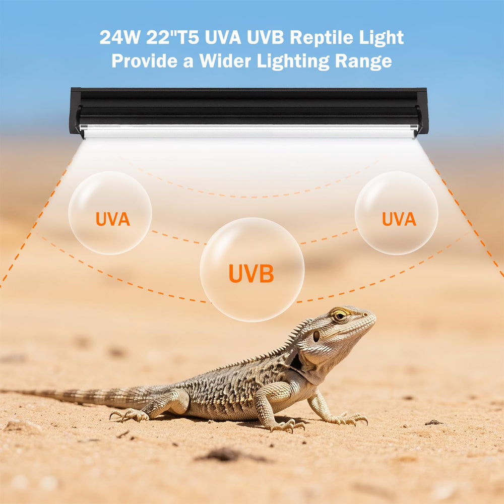 Homnebila T5 UVB 10.0 bulb chameleon habitat bright, natural sunlight simulation.