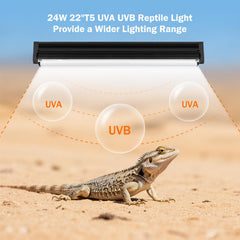 Homnebila T5 UVB 10.0 bulb chameleon habitat bright, natural sunlight simulation.