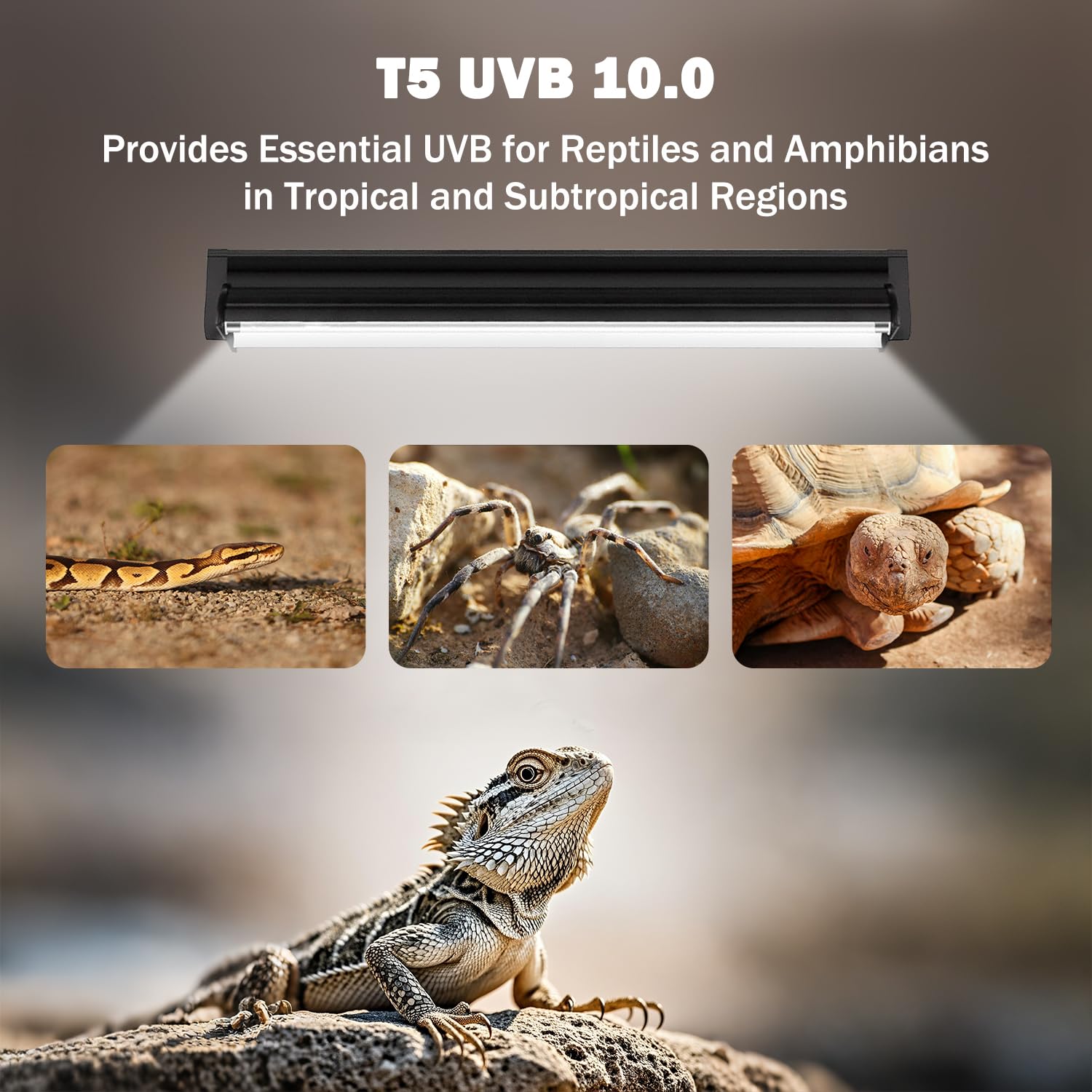 Homnebila T5 UVB light mounting options demonstrating tool-free setup