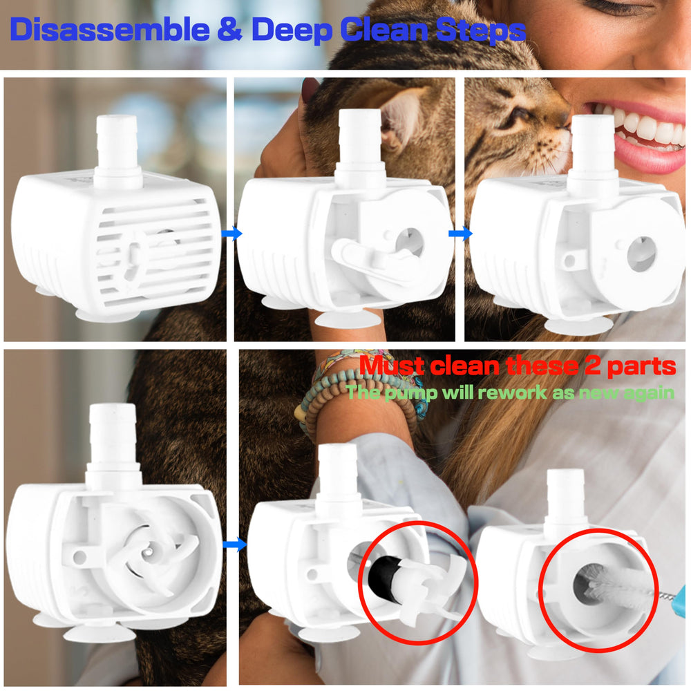 Homtyler 2.2-liter capacity supports water for several pets