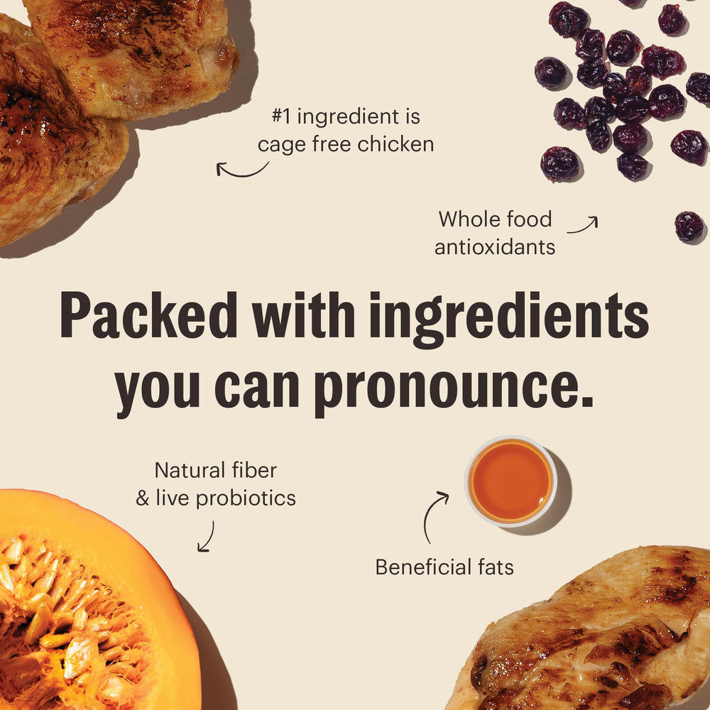 The Honest Kitchen kittens and adults bowl shows versatile nutrition for all life stages.