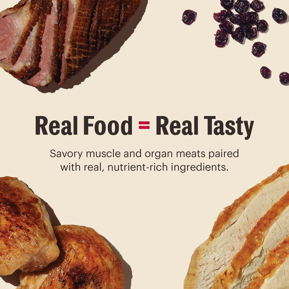 Gravy texture delivers moisture and savory aroma that cats may enjoy.