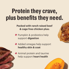 The Honest Kitchen Protein Plus+ Clusters packaging displayed on a shelf.