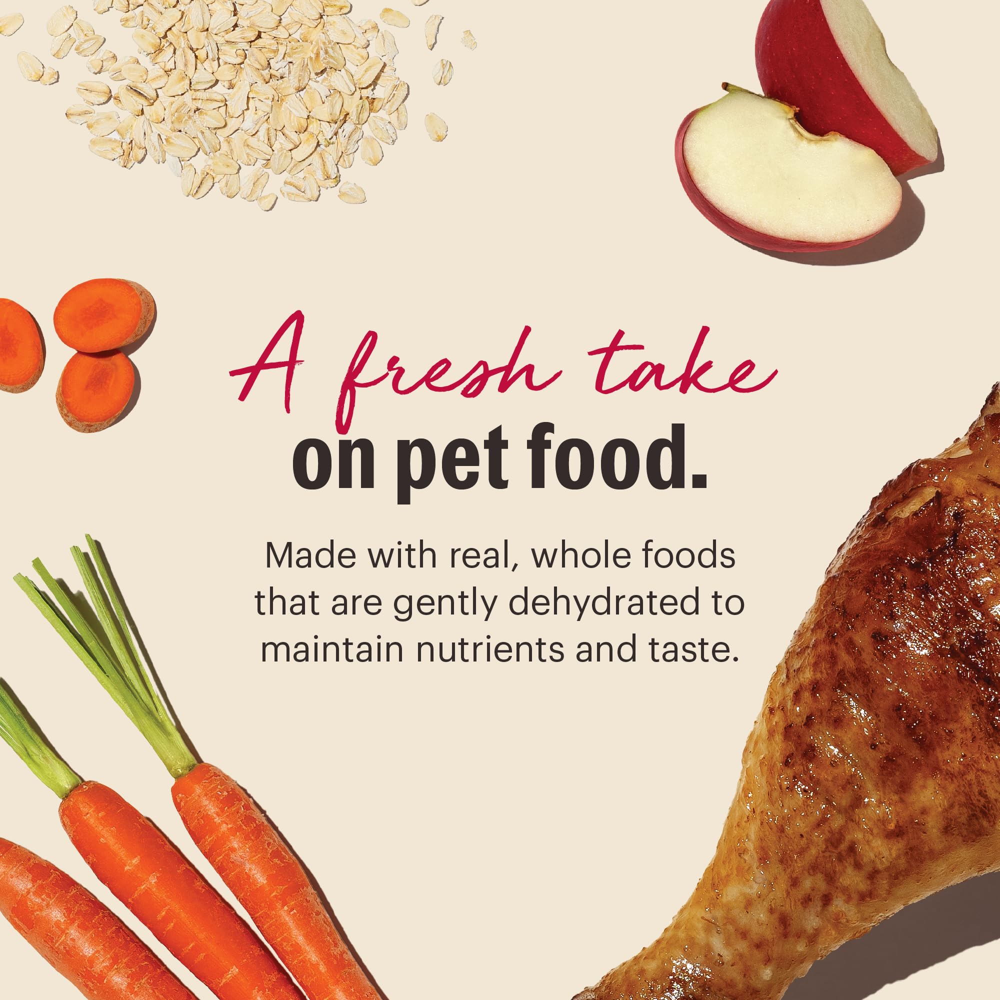 A bowl of prepared dog food ready to serve.