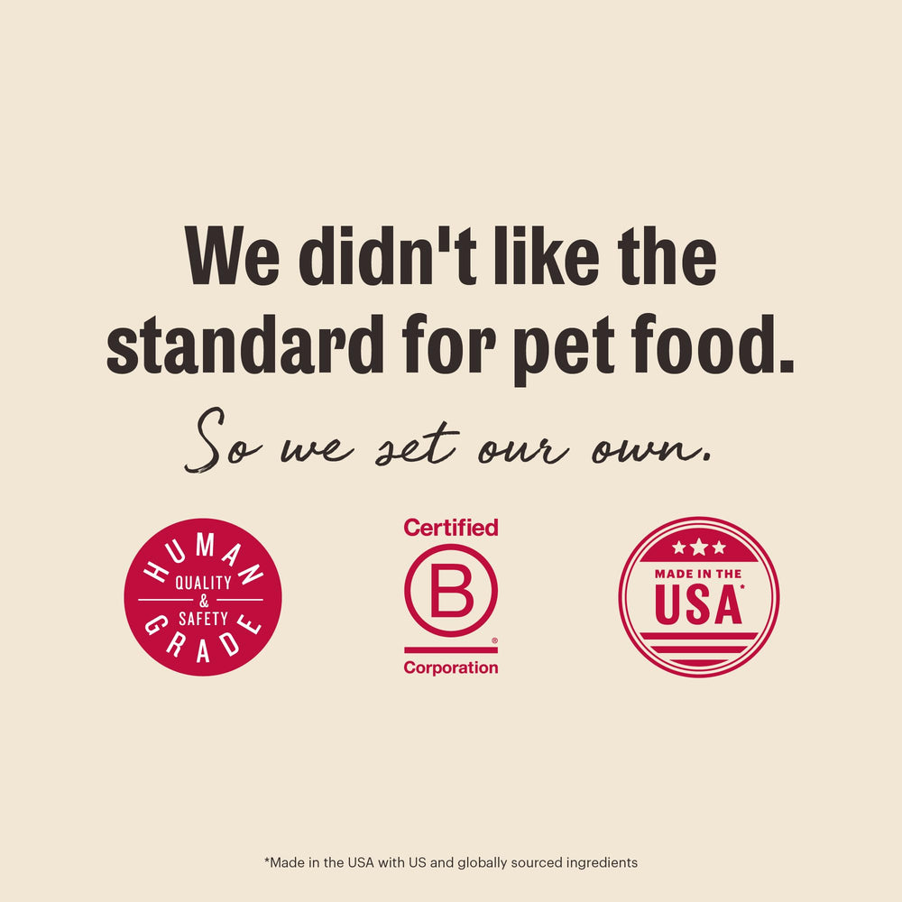 Serving dish with The Honest Kitchen kibble illustrating feeding routine for puppies.