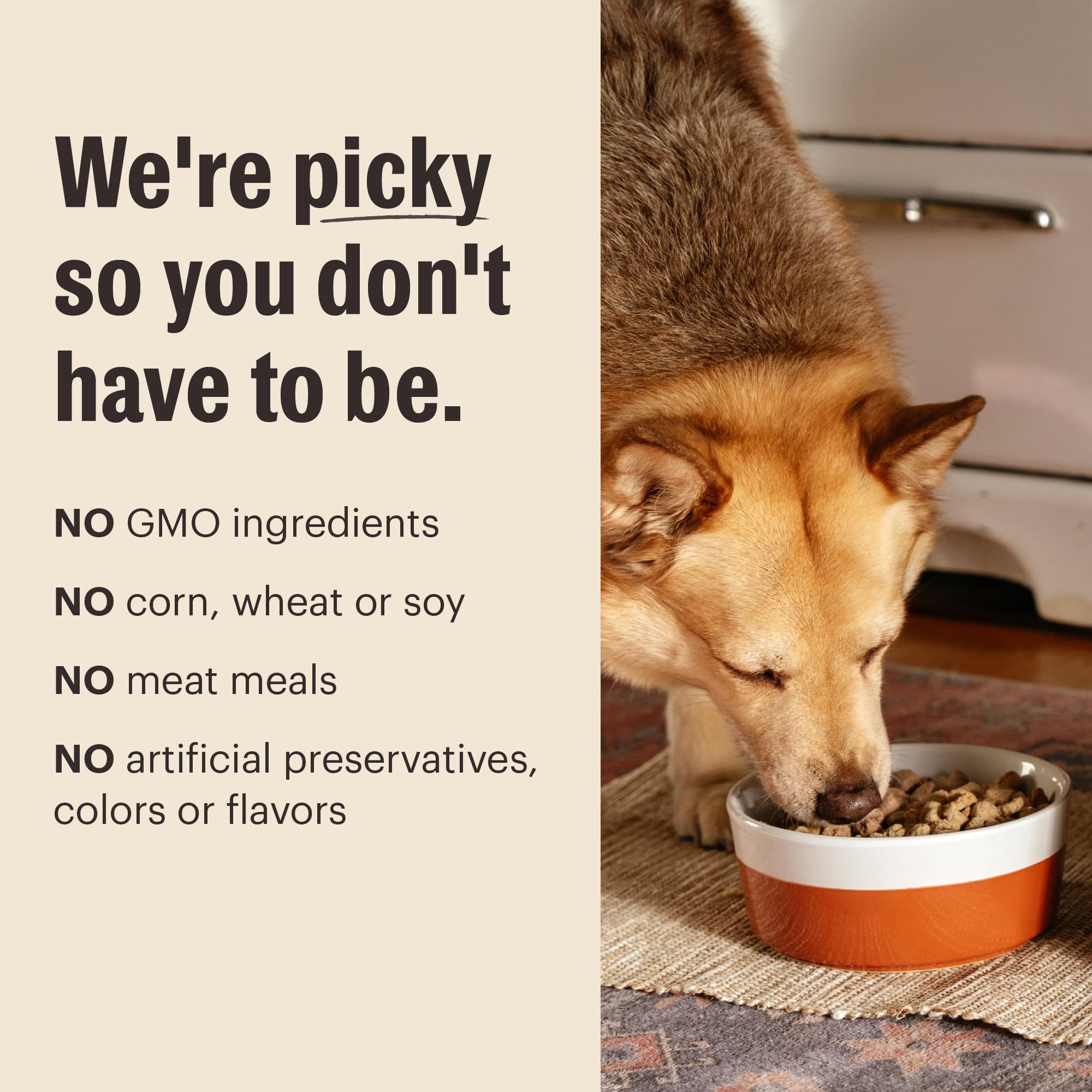 Taurine-rich protein visible, suggesting heart health considerations for dogs.