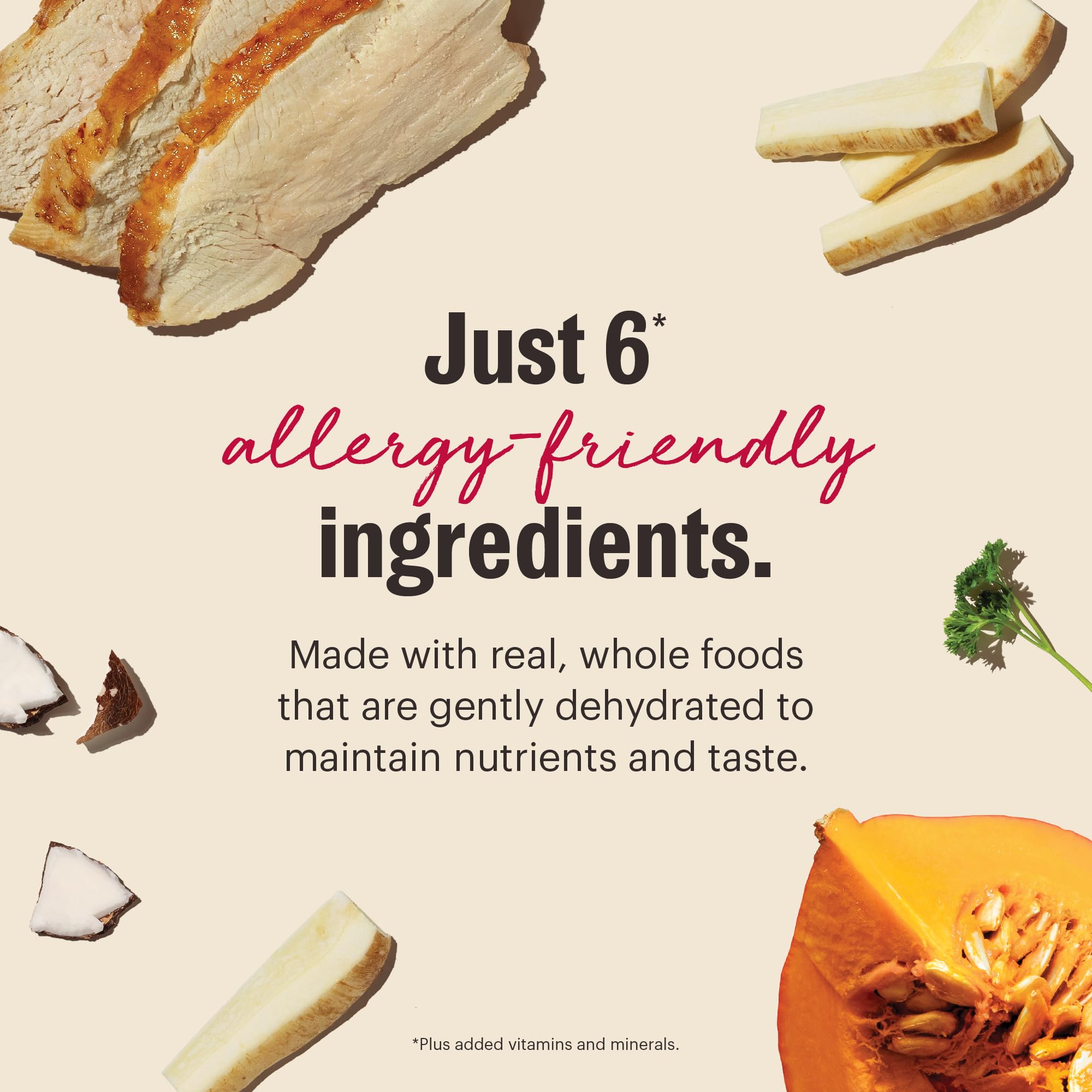 Easy hydration method for a complete, balanced meal with The Honest Kitchen Wholemade.