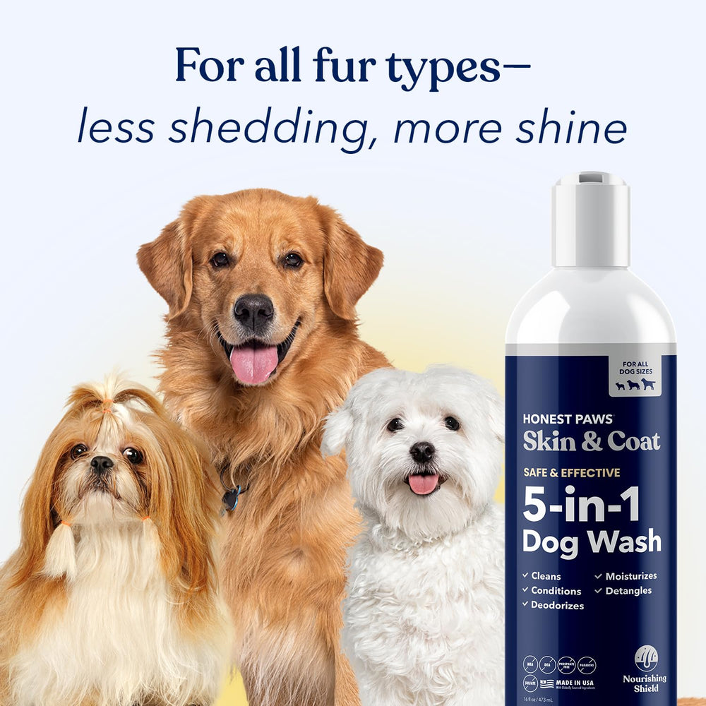 16-ounce Honest Paws bottle emphasizes convenient, all-in-one bath solution.