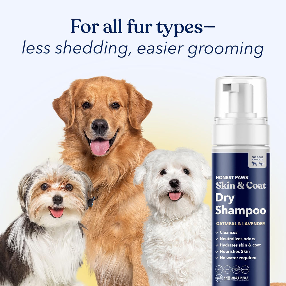 Honest Paws 6.3-ounce bottle for convenient between-bathe refresh.
