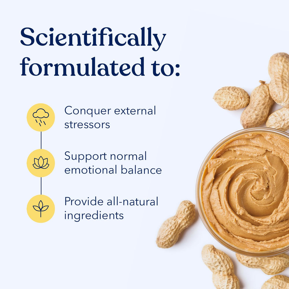 Honest Paws Calming Peanut Butter on a chew toy, ideal for travel and calm.