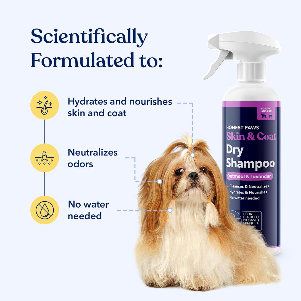 Honest Paws Dog Dry Shampoo bottle and spray application for easy coat care.