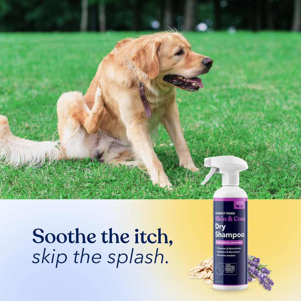 Honest Paws Coat shine after use improves coat appearance.