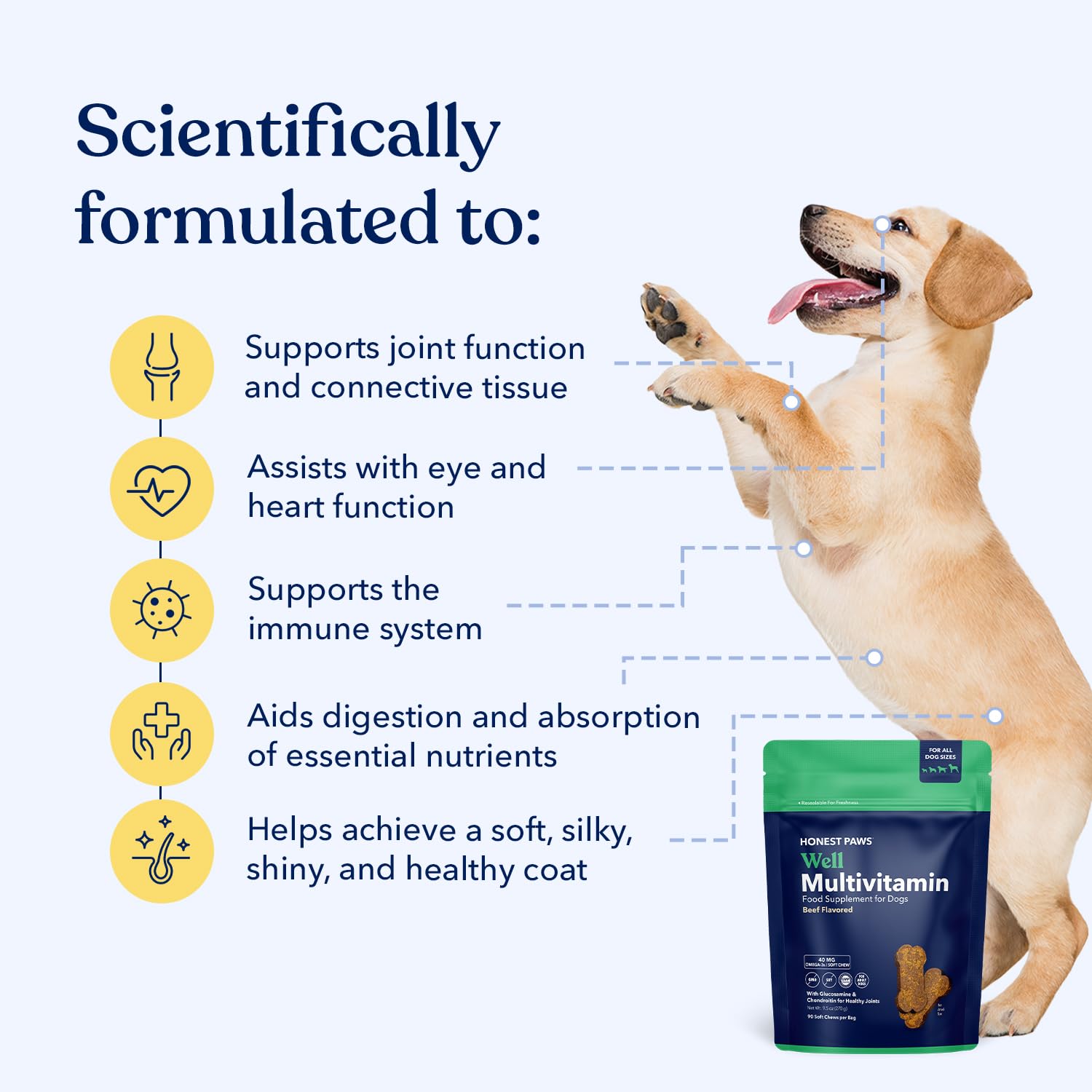 Honest Paws multivitamin soft-chew texture close-up shows easy-to-chew daily option