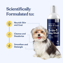 Foaming Honest Paws 5-in-1 lather demonstrates cleansing, deodorizing, and conditioning.