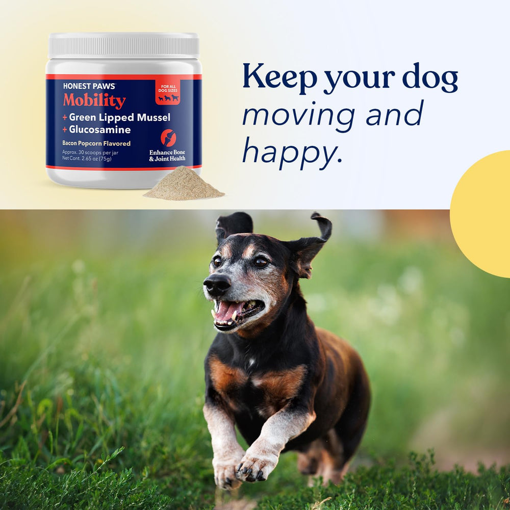 Honest Paws Glucosamine Fish Oil softgels image suggests omega-based care.
