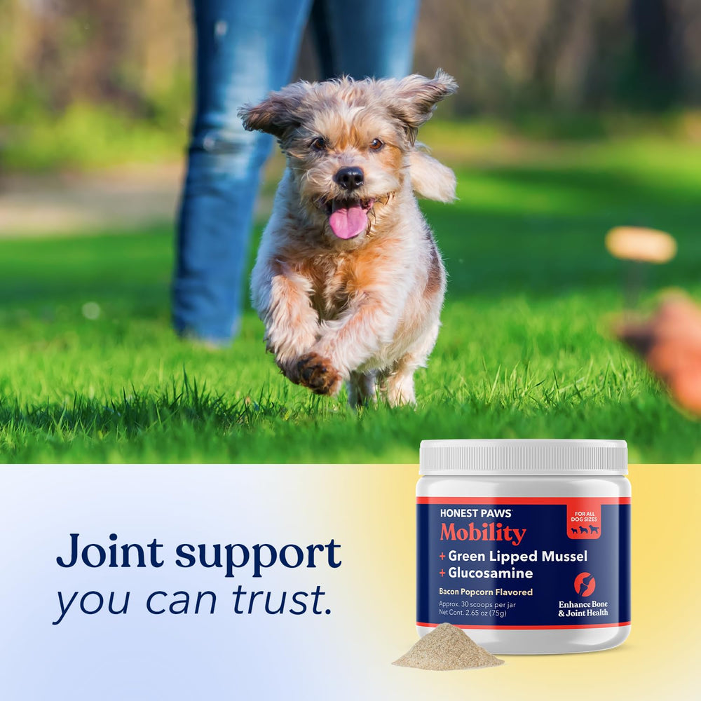 Honest Paws Glucosamine hip joint illustration shows targeted support visuals.
